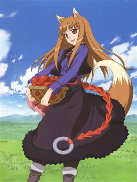 Spice and Wolf (2008) .